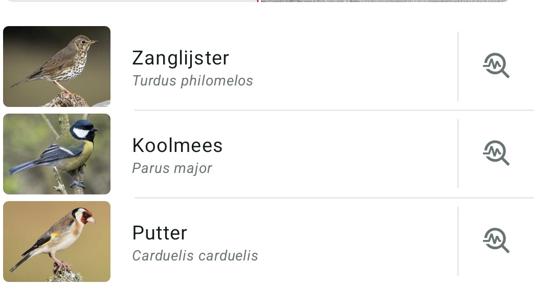 hvwer's tweet image. De #zanglijster is de hele morgen al aan het zingen alsof z'n leven ervan af hangt. Prachtig! Ook de #Putter weer gesignaleerd, de afgelopen 2 jaar hadden ze een nestje in de voortuin. Dit jaar opnieuw? #lente
Genieten, al die vogels in de tuin ❤️