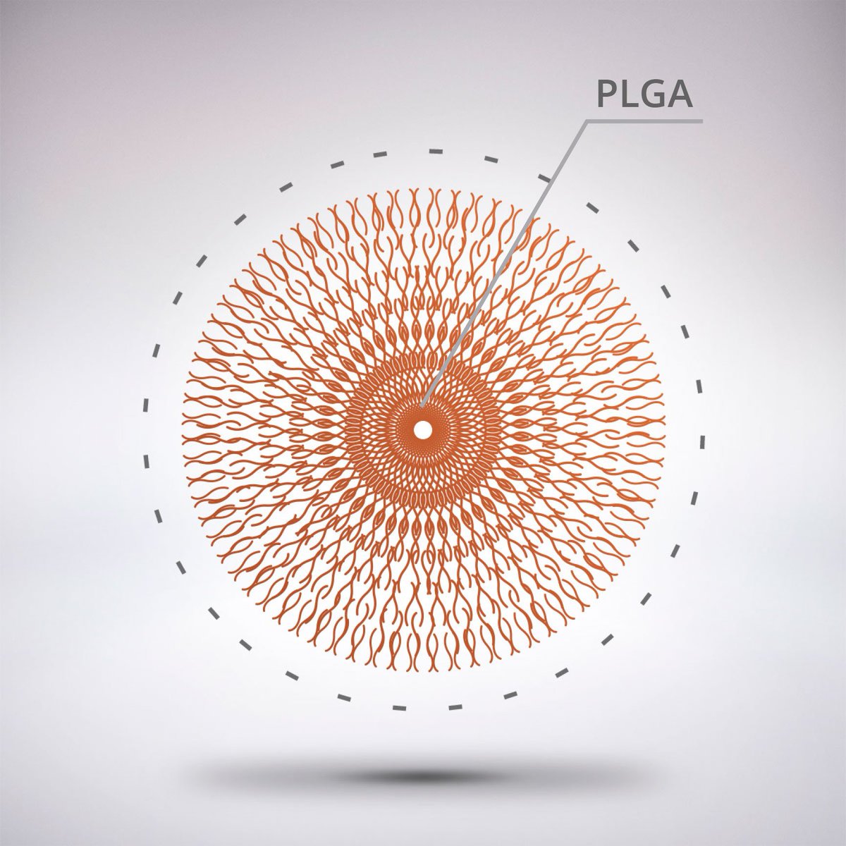 RuixiBiotechCo.Ltd/KamulinBiotechco.ltd tweet media