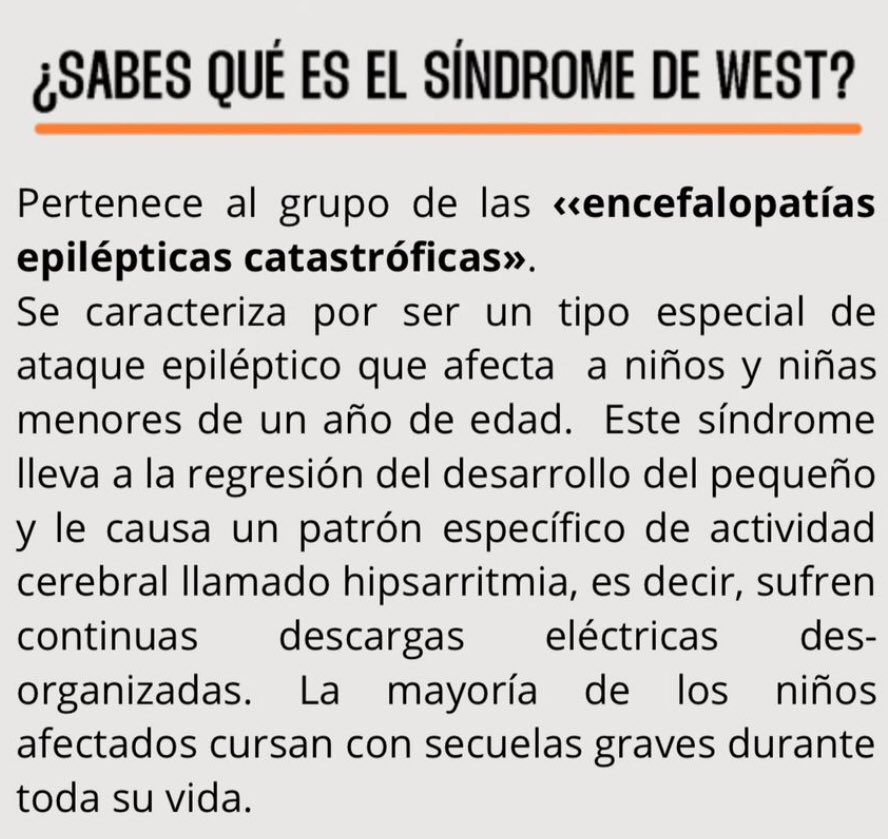 RarasNoInvisibles tweet media