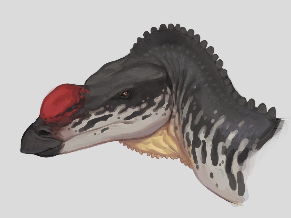 Ashley Patch tweet media