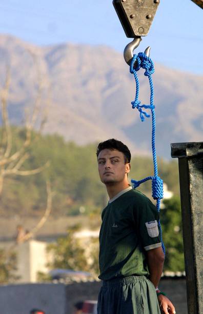 stefano molinari tweet media