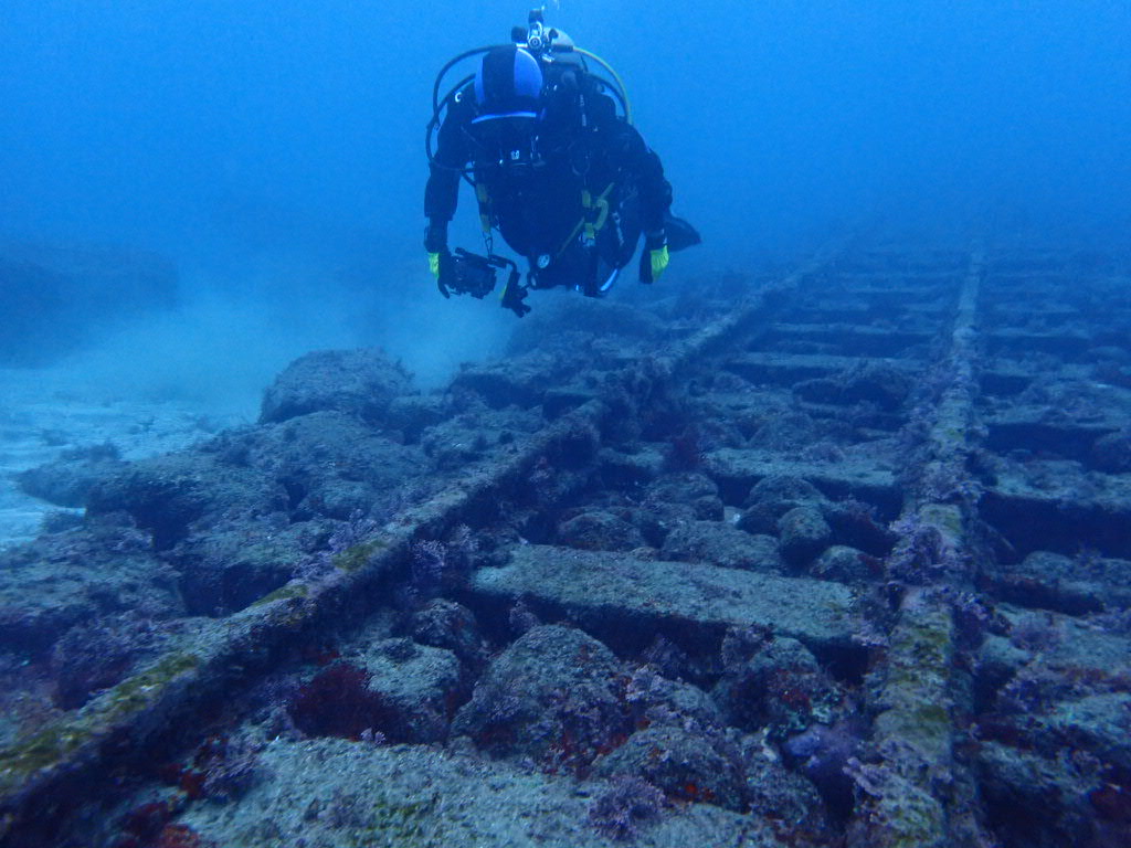 ocean+α (オーシャナ)【公式】 tweet media