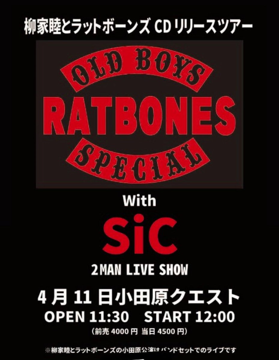 ビッグランブル・プロダクションズ tweet media