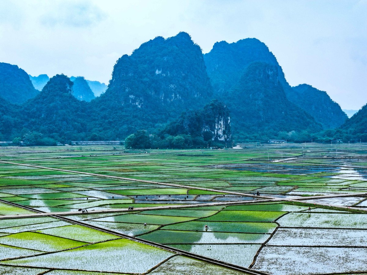 XisMoments's tweet image. A season covered in #green — the earth wakes up in its freshest shades. 💚🍃#ChinaVibes #ColorWalk