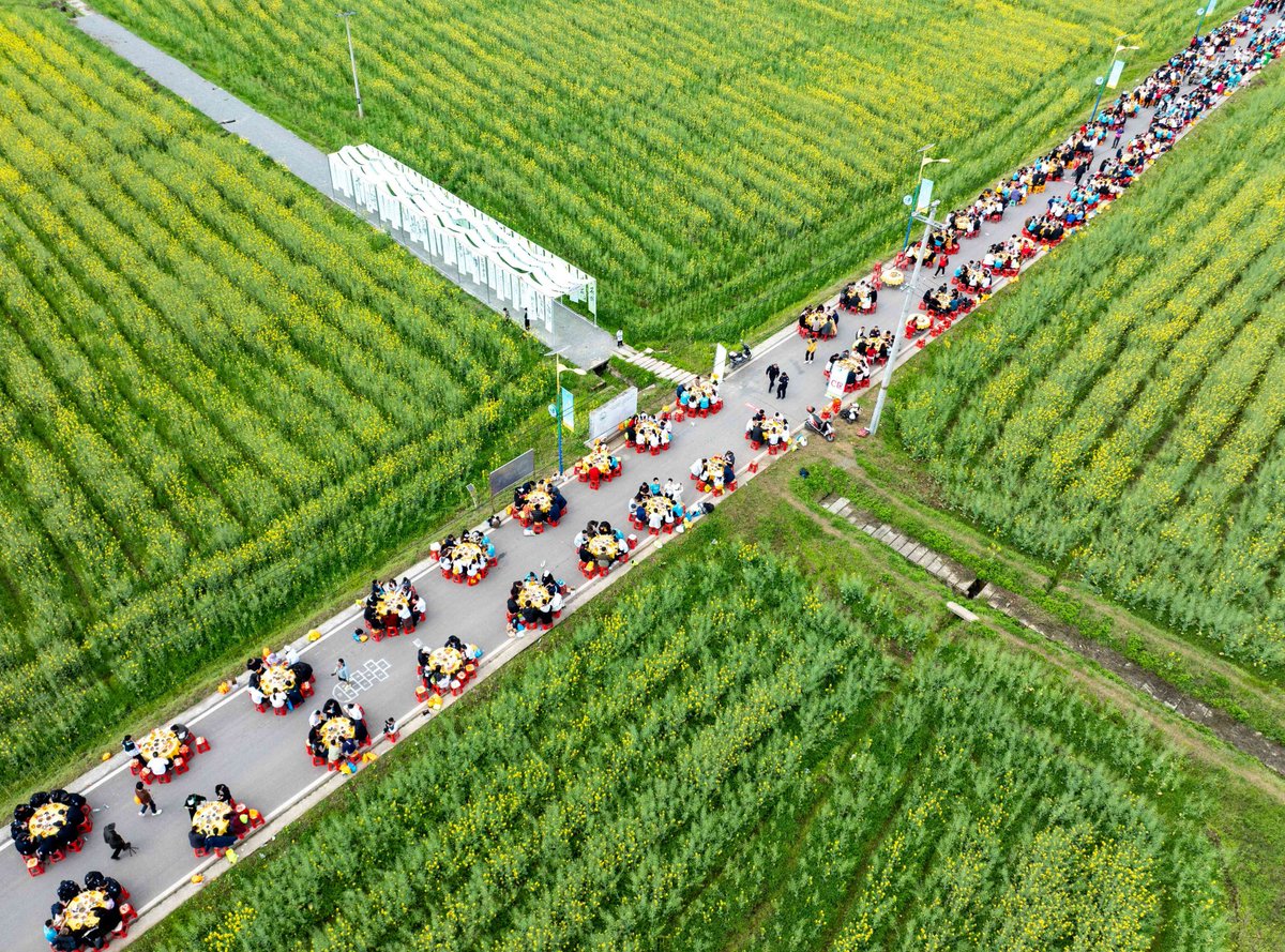 XisMoments's tweet image. A season covered in #green — the earth wakes up in its freshest shades. 💚🍃#ChinaVibes #ColorWalk