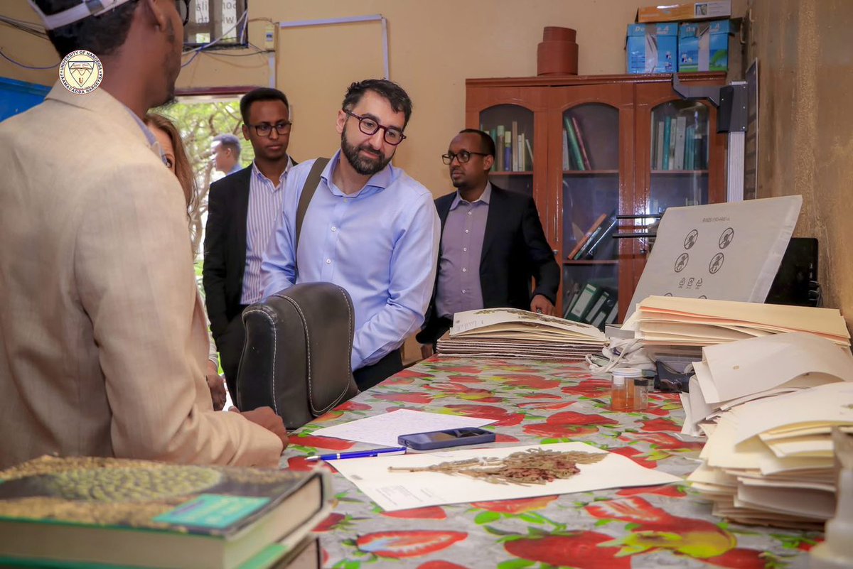 Louise Hancock tweet media