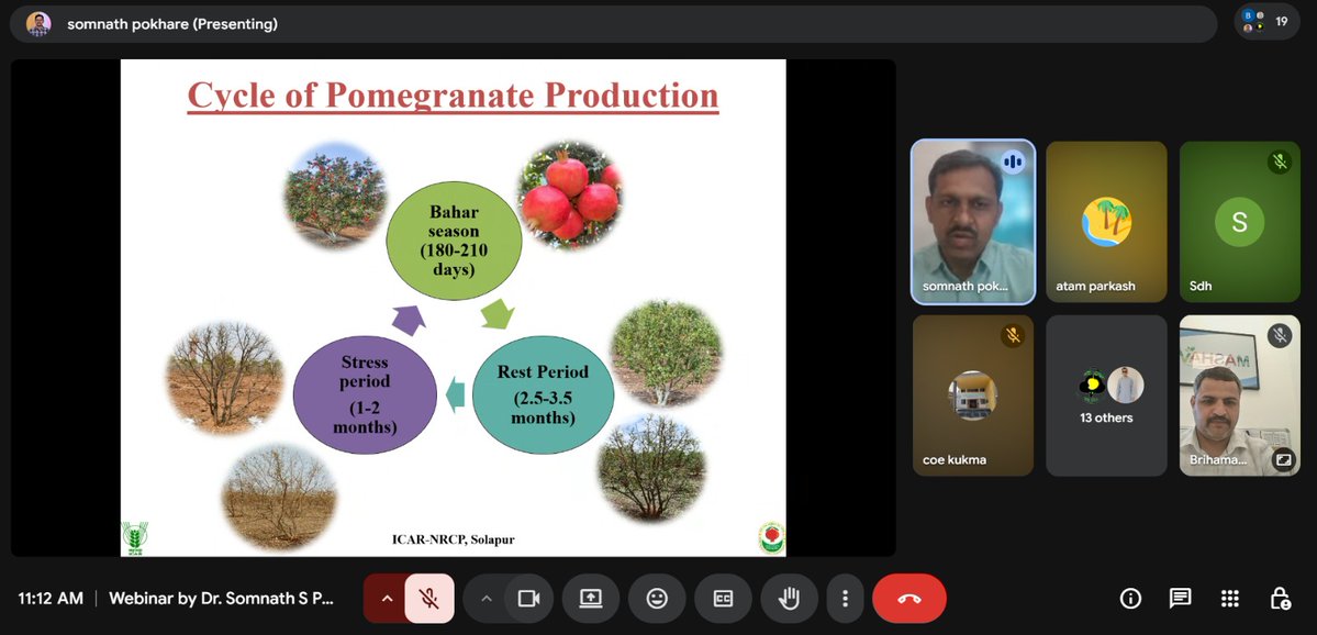 MASHAV-in-INDIA tweet media