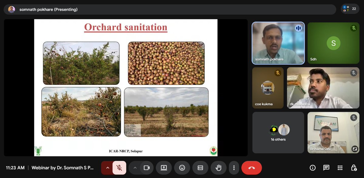 MASHAV-in-INDIA tweet media