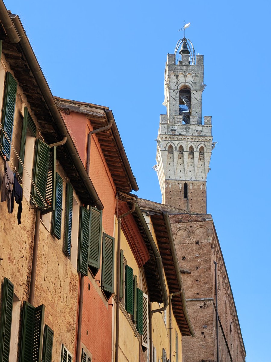 javiercelaya's tweet photo. Amanecemos en Siena  🌄 

Desconectado unos días antes de encerrarnos en la Feria del libro de Bolonia 

#BFB26
@siena 
@bolognabookplus https://t.co/hLw6wFaZBW