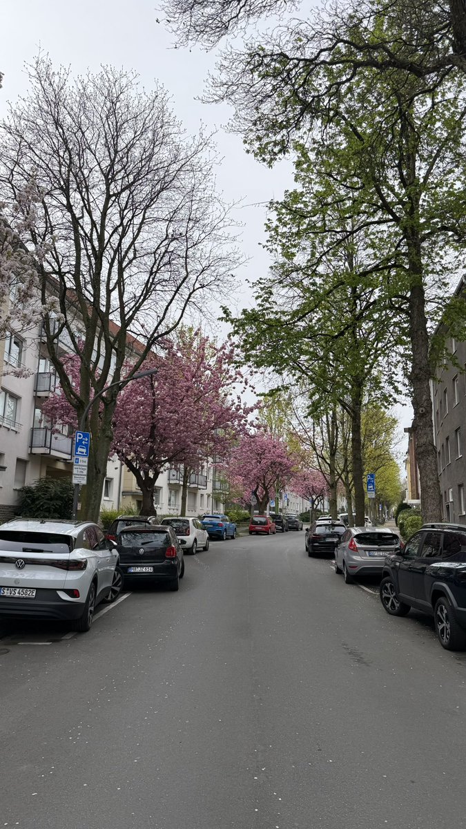 der sogenannte frühling ist da