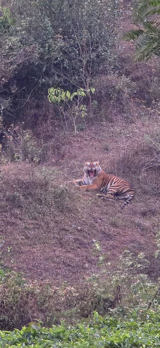 Harsh Goenka tweet media