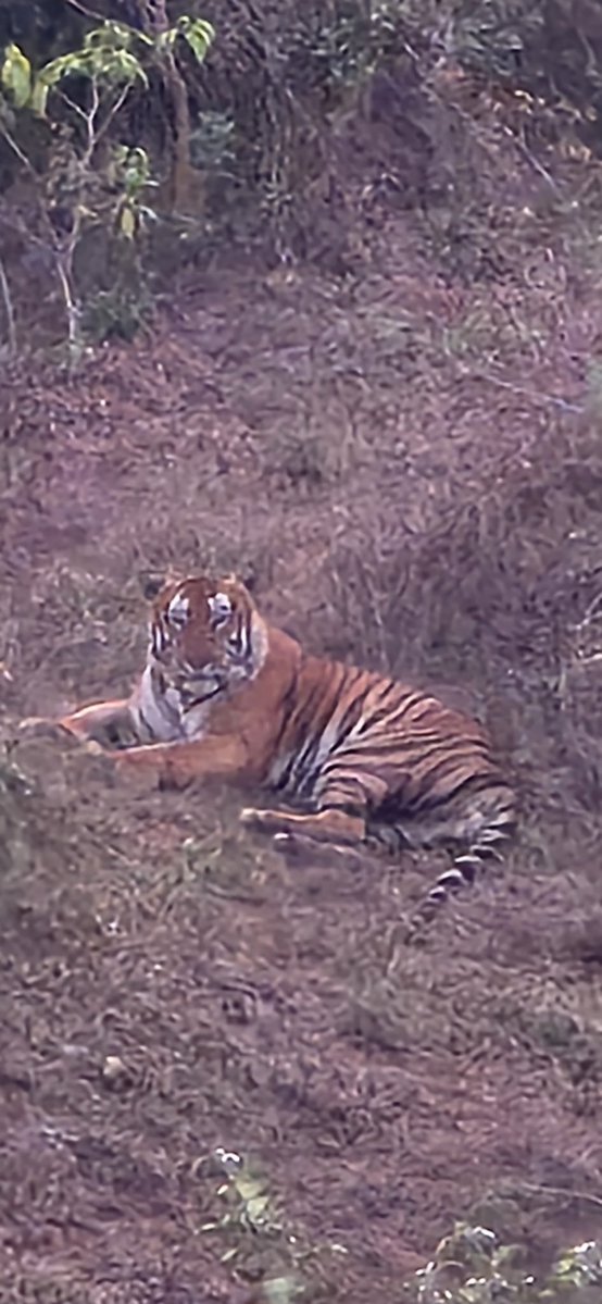 Harsh Goenka tweet media