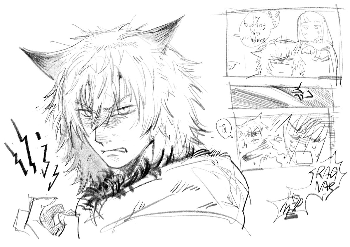 🍵orz tweet media