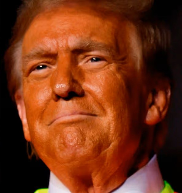 Roy🇨🇦 tweet media