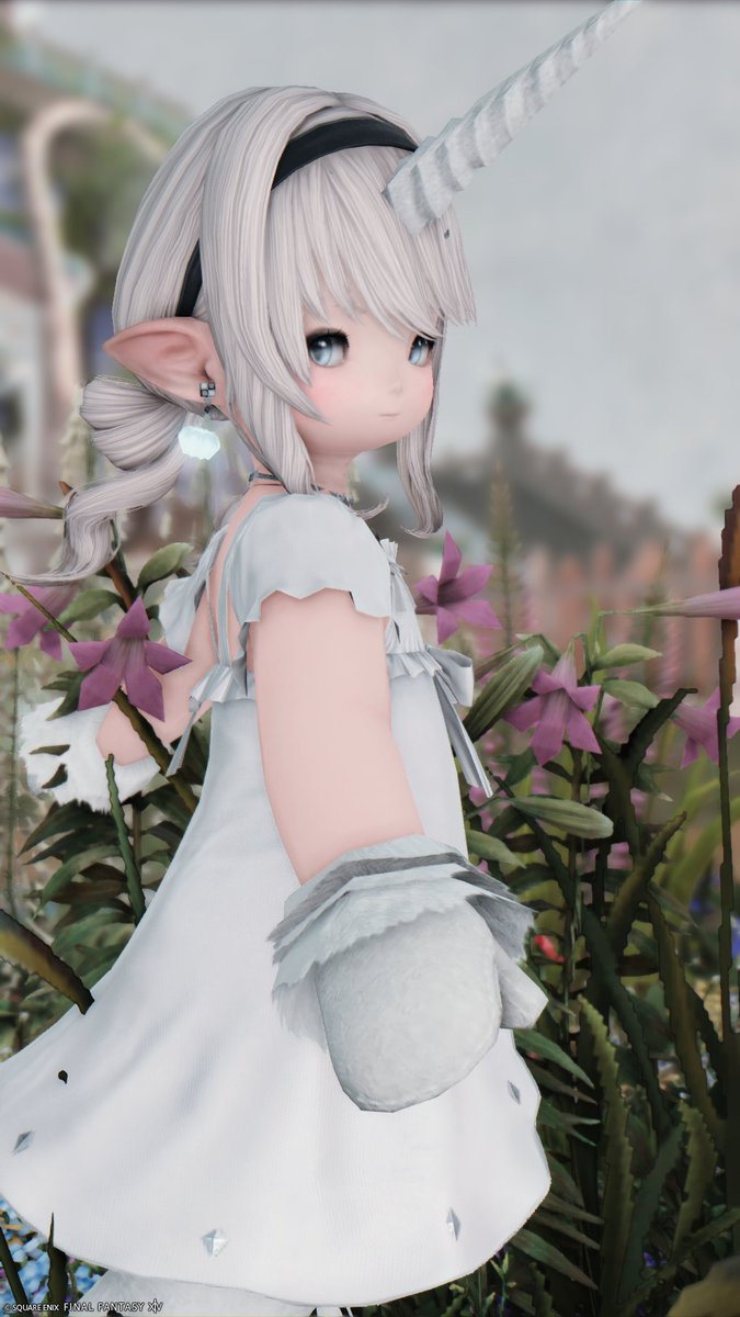 - ̗̀どらきー❂Durandal ̖́- tweet media