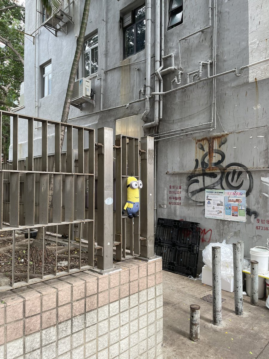 神巧SQ tweet media