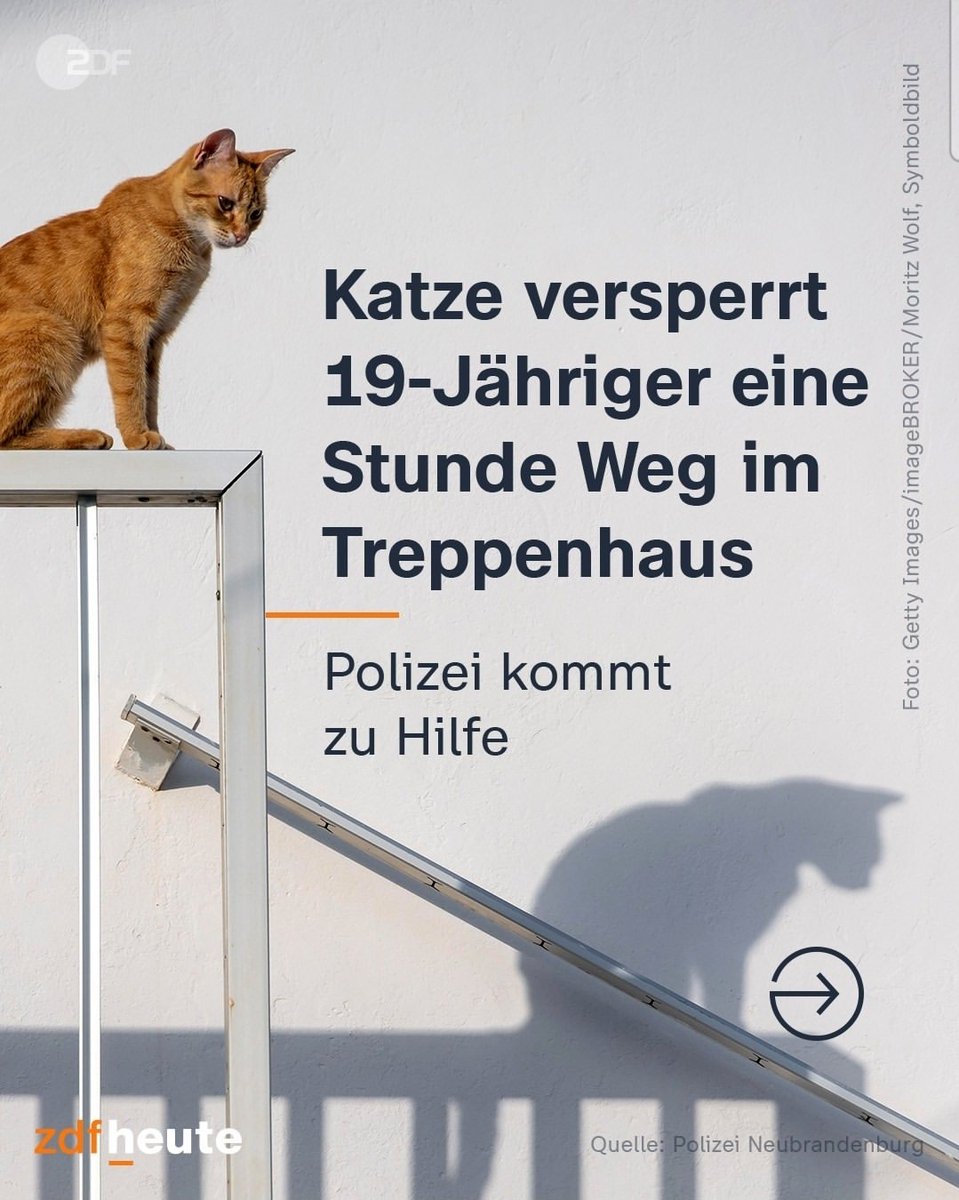 VolkerKetzer tweet media