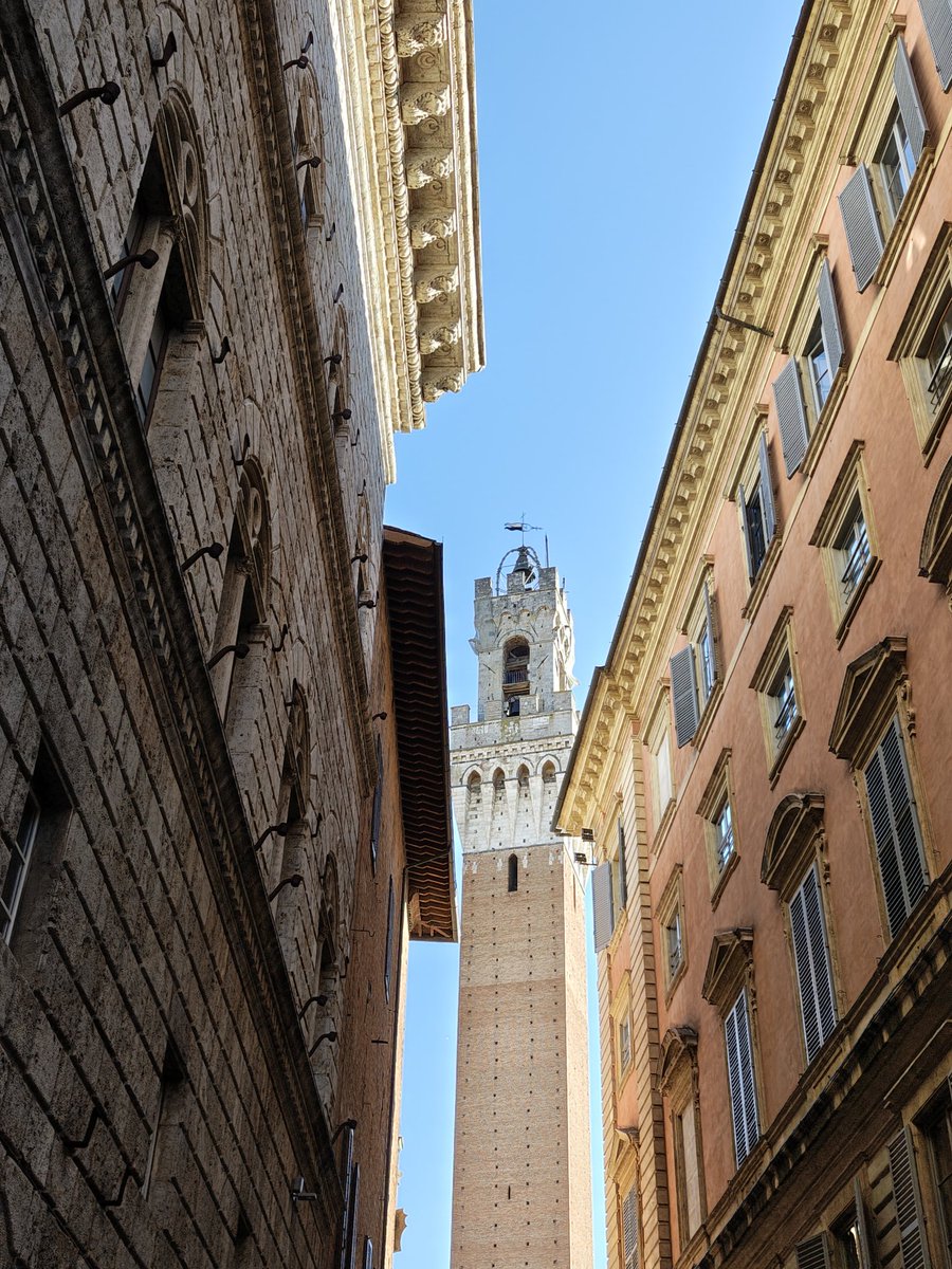 javiercelaya's tweet photo. Amanecemos en Siena  🌄 

Desconectado unos días antes de encerrarnos en la Feria del libro de Bolonia 

#BFB26
@siena 
@bolognabookplus https://t.co/hLw6wFaZBW