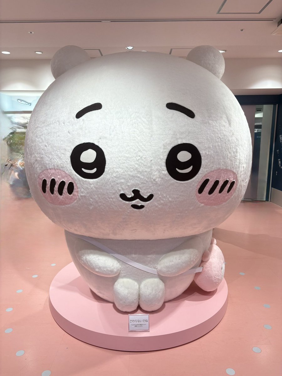 𝕔𝕙𝕒𝕞🍪 tweet media