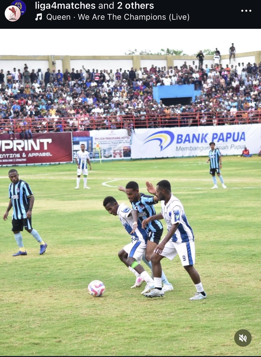 GIBOLofficial tweet media