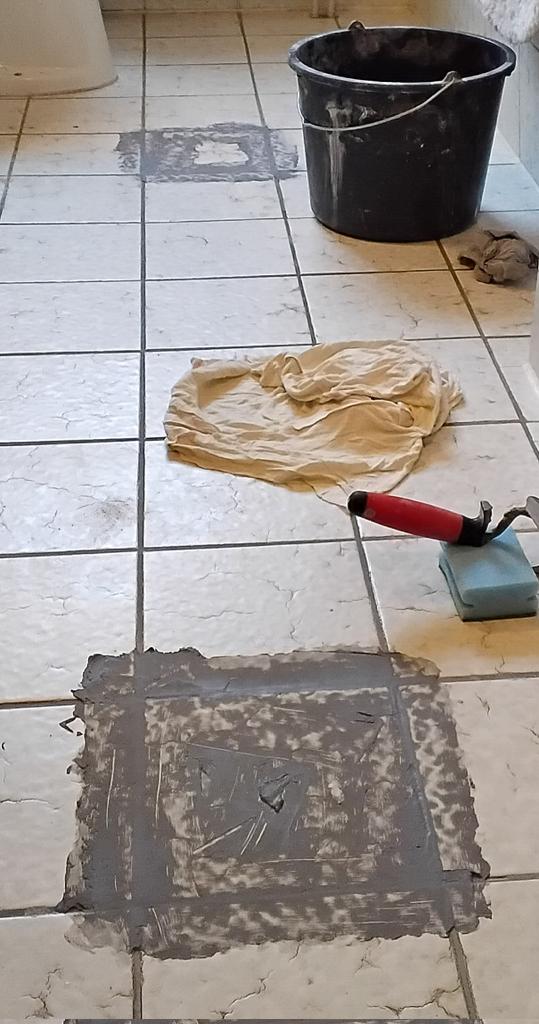 Zwei Meyers & Panda 💙💛 tweet media