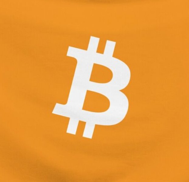 The Bitcoin Historian tweet media
