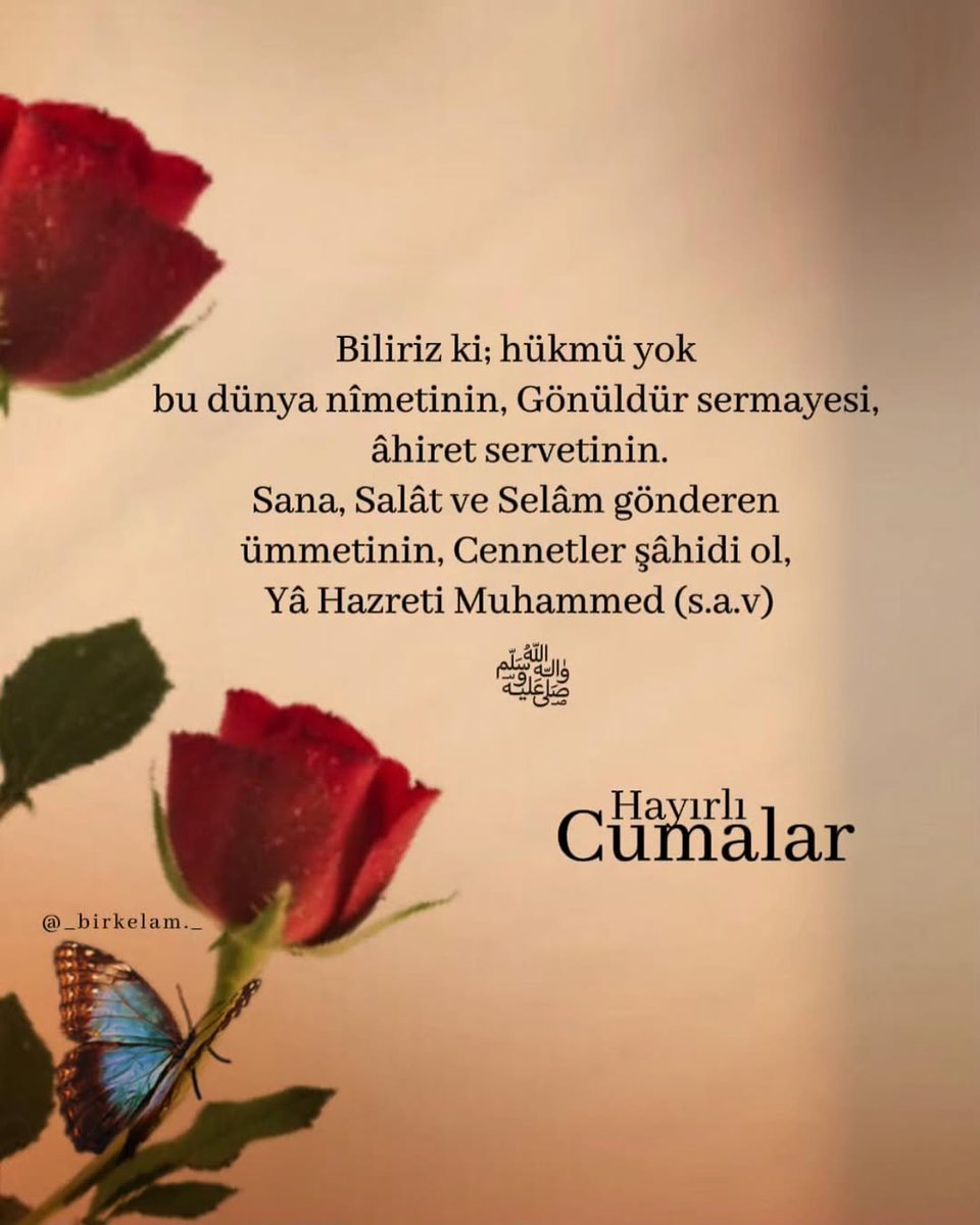 @Nurbanu_Sultan1453 tweet media