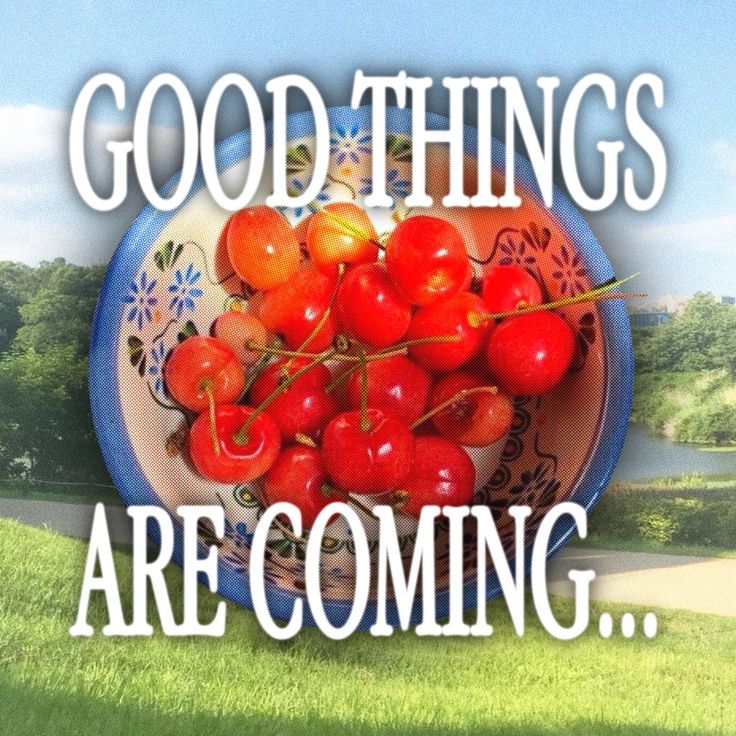 mistfortune tweet media