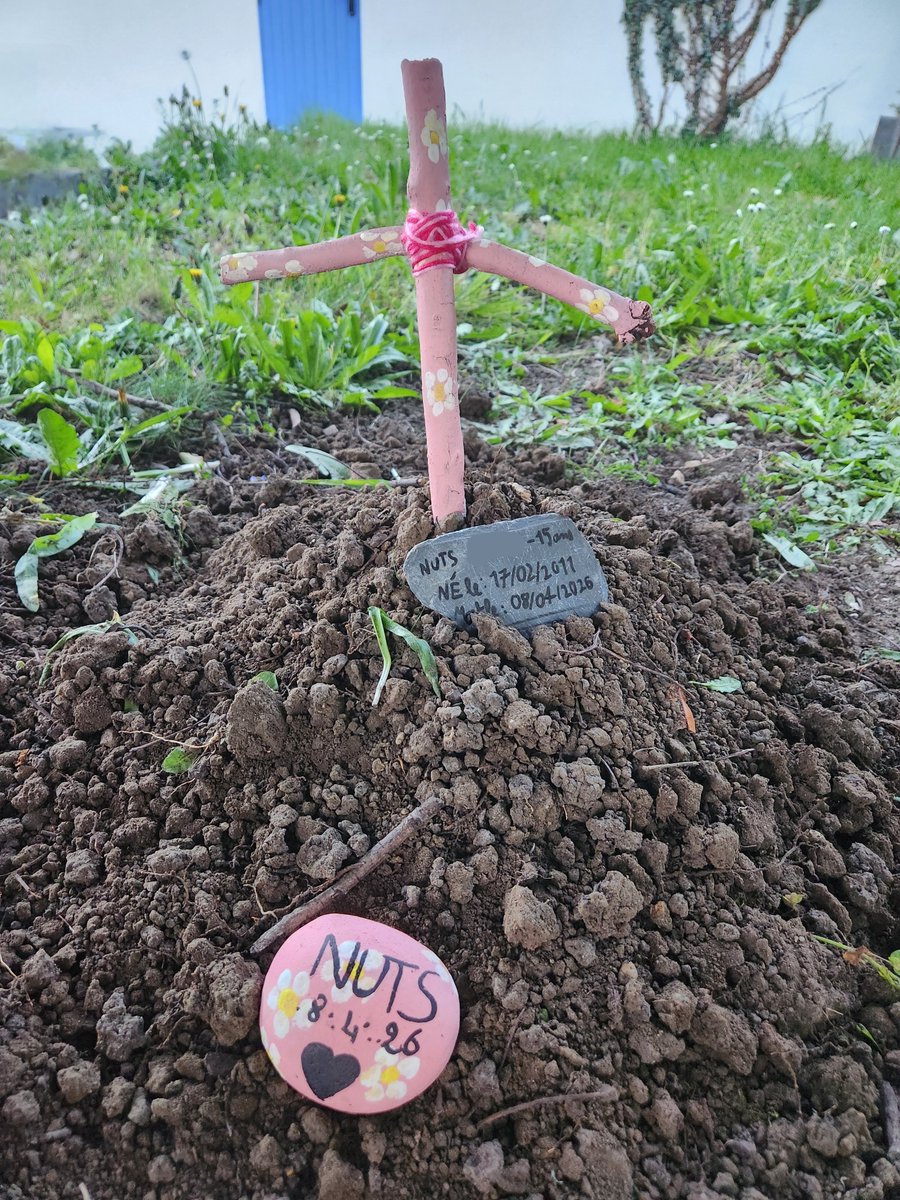 Blondi𝕏 Minie Banana Girl 🍌 tweet media