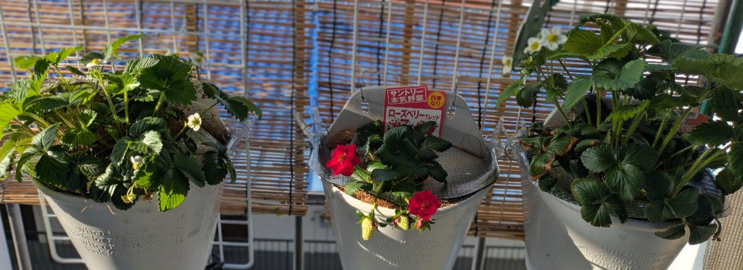 chelsea⟭⟬🅐🅡🅘🅡🅐🅝🅖⟬⟭💜 tweet media