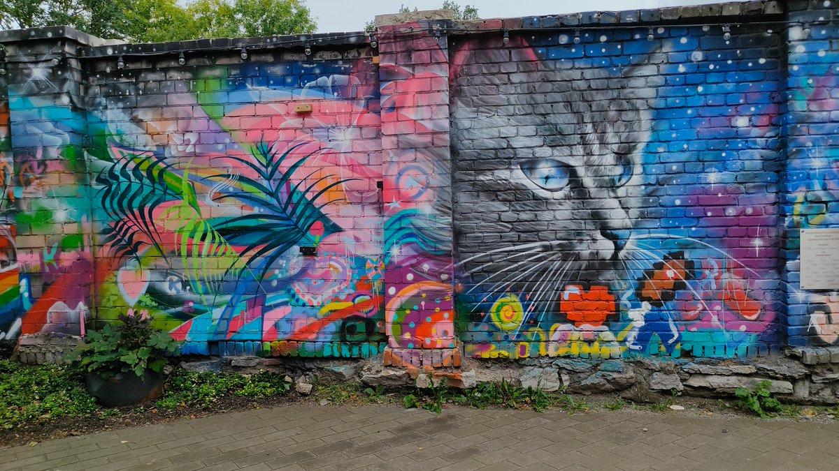 BalticMood's tweet image. "A cosmic cat watching over a Tallinn wall. The city's street art never disappoints. 🌿"

#Tallinn #Estonia #StreetArt