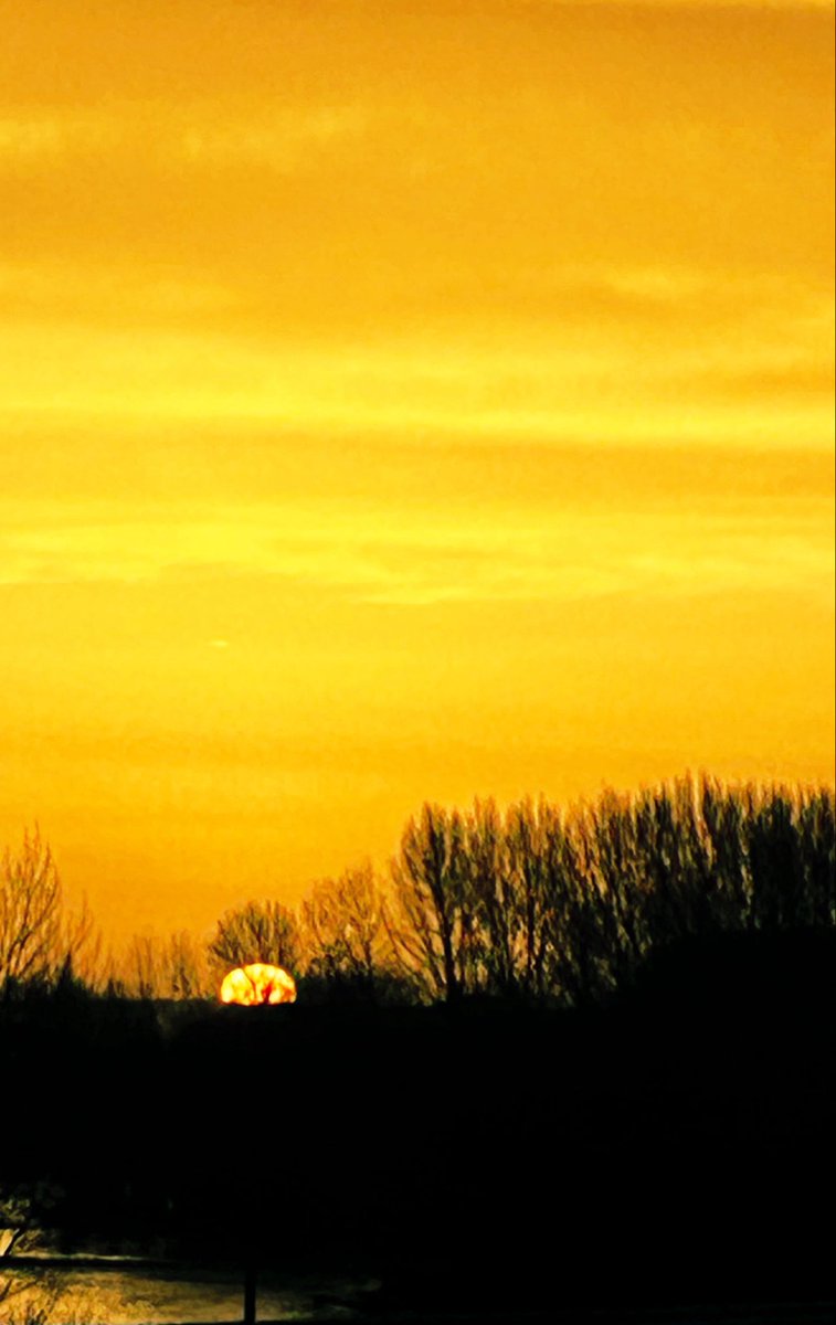 Breverías tweet media