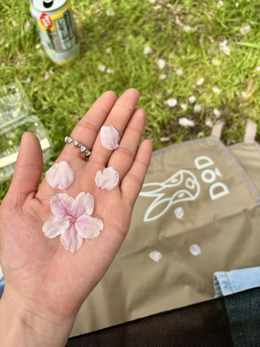 DOD【公式】 tweet media