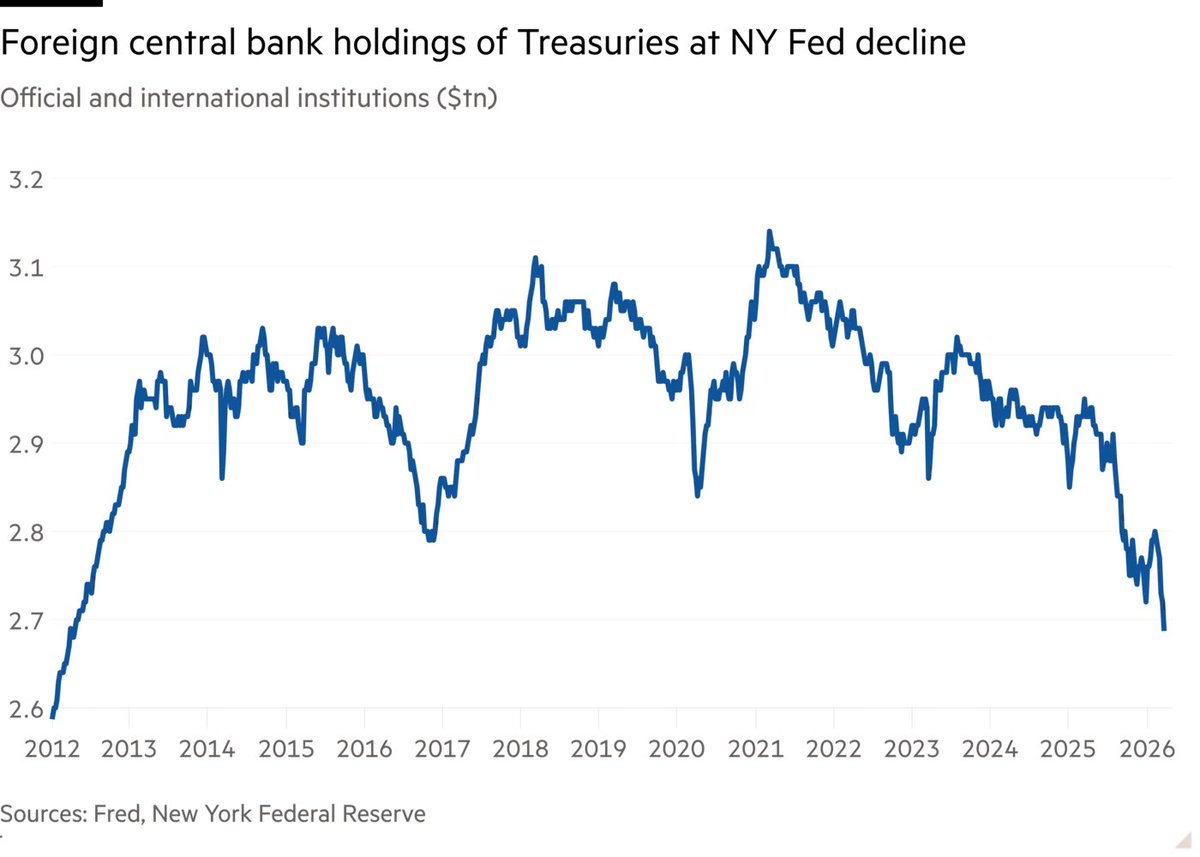 urso_de_shorts tweet media