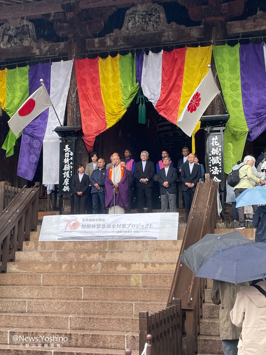 吉野山最新情報 tweet media