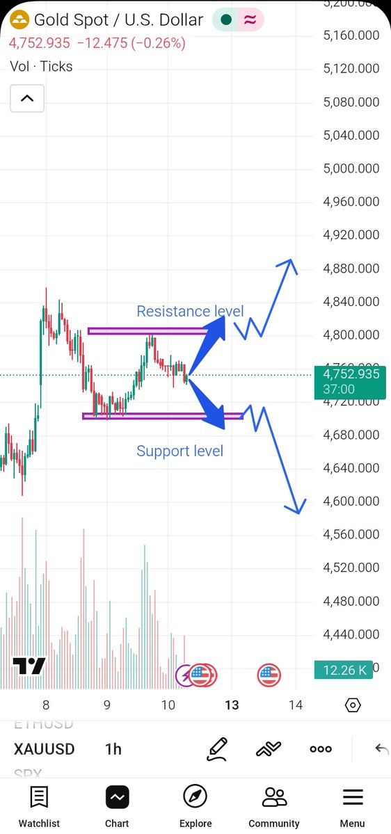 marlina trader tweet media
