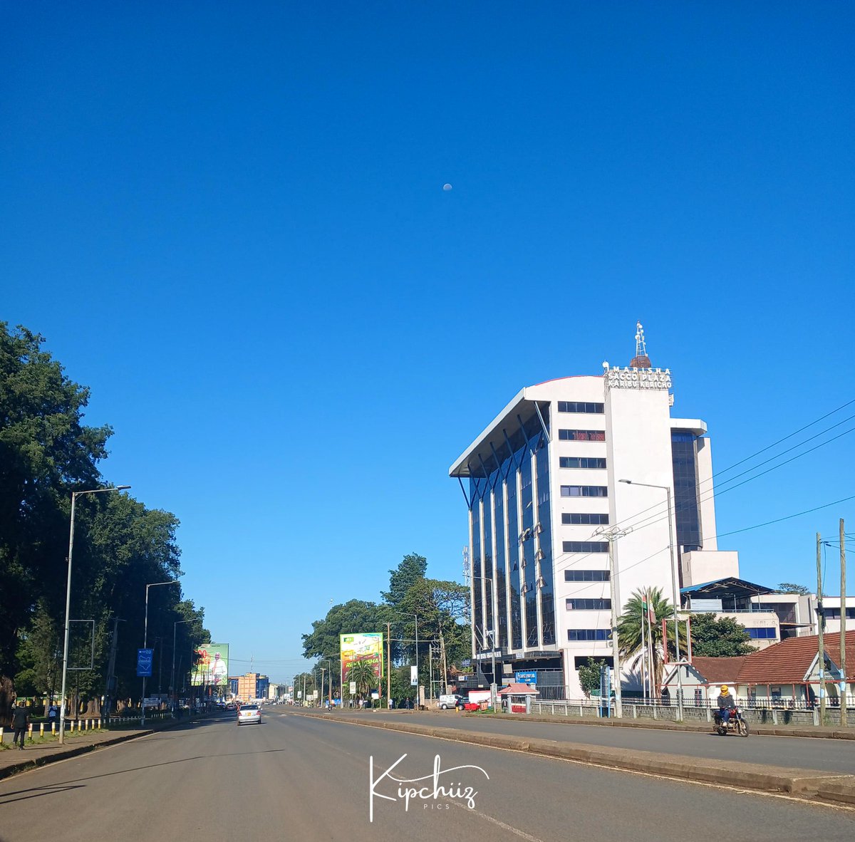 GREAT-NESS tweet media