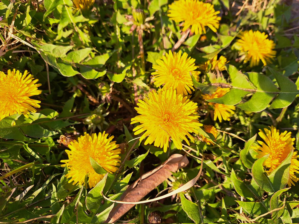 雪井苑生 tweet media