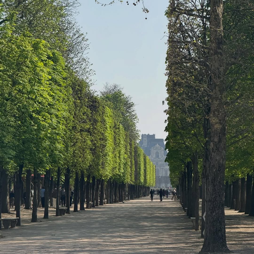 Parisian Aesthetics tweet media