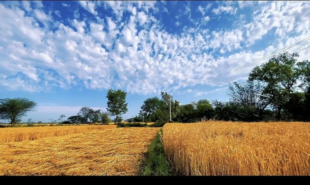 amit kumar 'עמית' tweet media