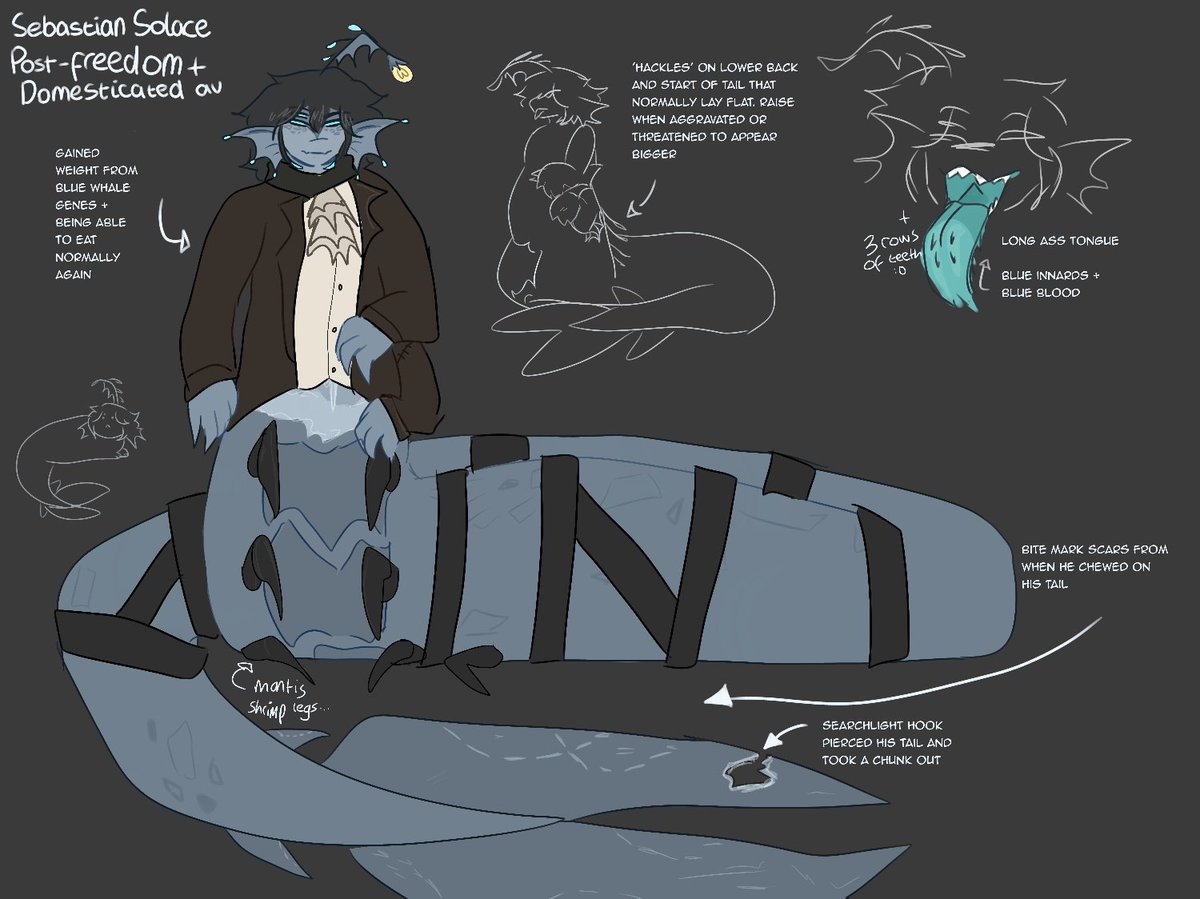 Mizu //🇮🇪🇵🇱 tweet media