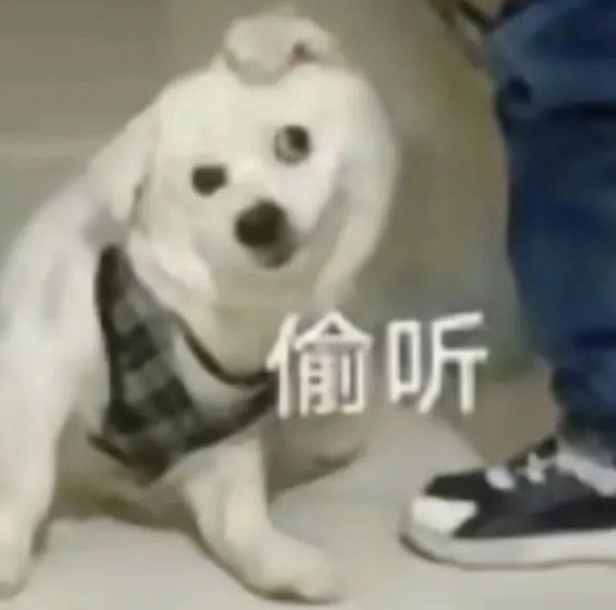 戒欲 tweet media