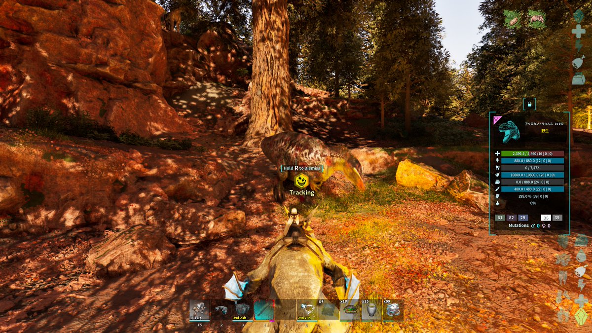 king_1224's tweet image. テイム前個体メレー39ポイント？！さすがにきたでしょこれ？！

＃ARK