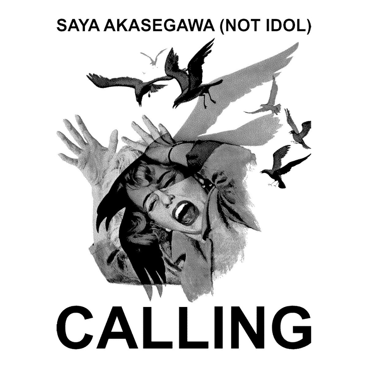 Saya Akasegawa tweet media