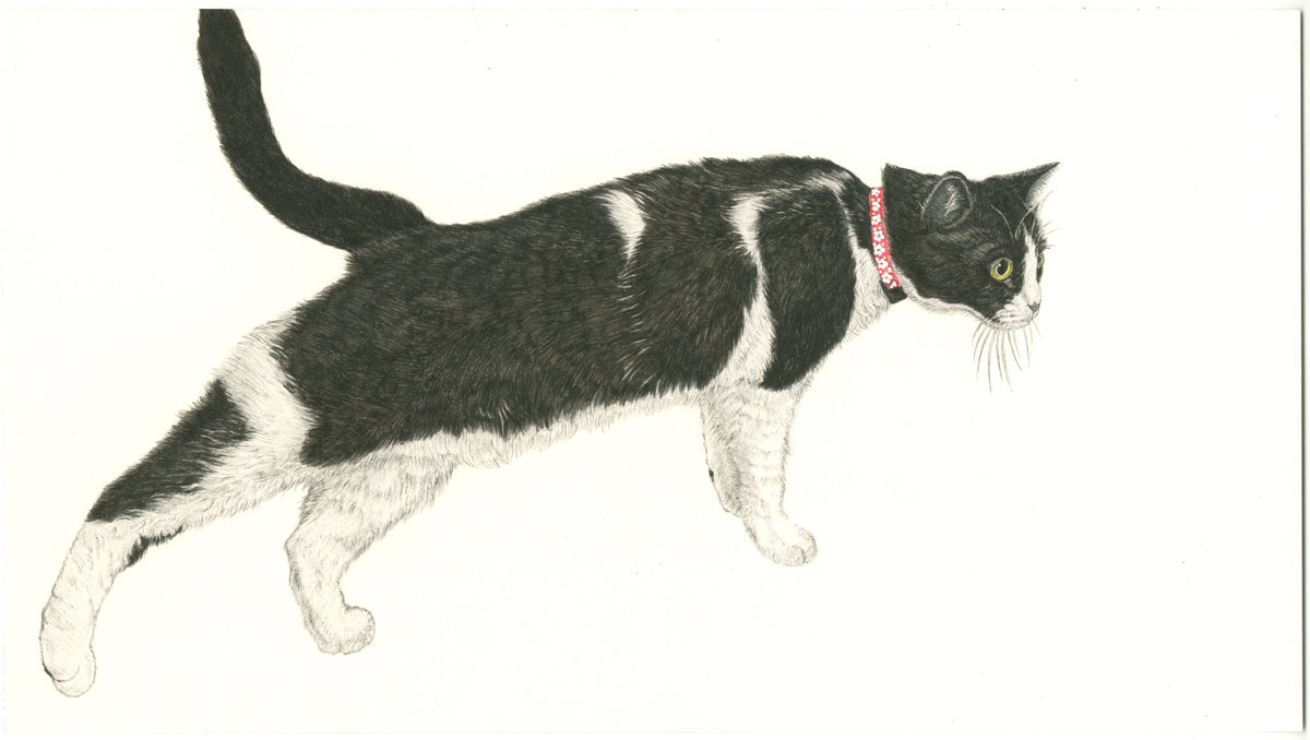 山田貴裕【画家・翻訳家】5/2-3 にゃんこ博覧会【グランフロント大阪】 tweet media