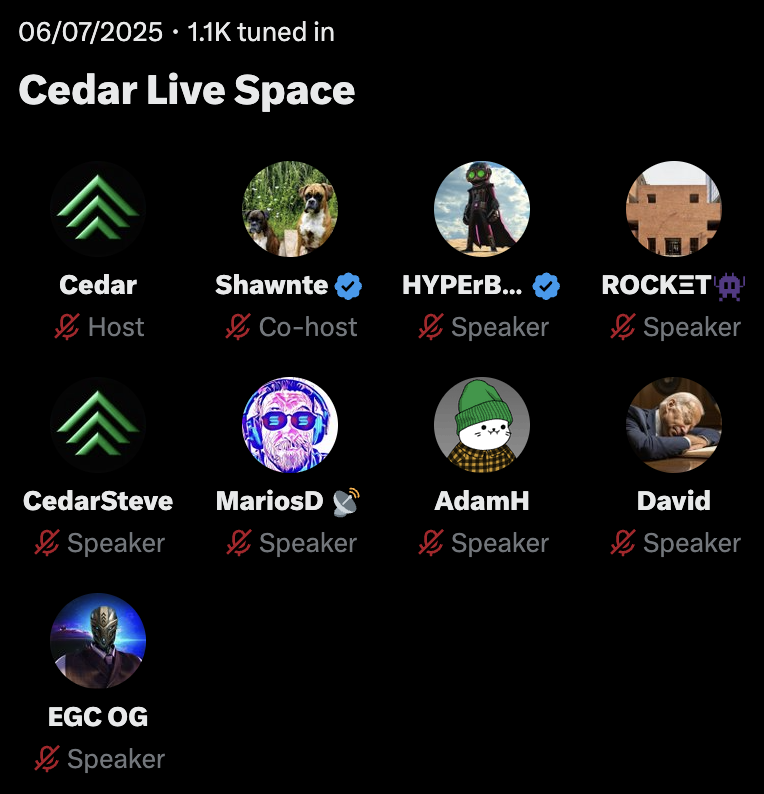 Listening to this Space, this was 3 months after 11 people were elected onto an interim committee. 

This Space was filled with promises - talk of testing and auditing the Rewards Dashboard, talk of newsletters, updates, regular spaces. 

Absolute NOTHING mentioned on this space,