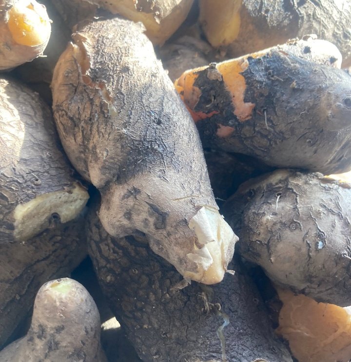 $Crypto Engineer tweet media