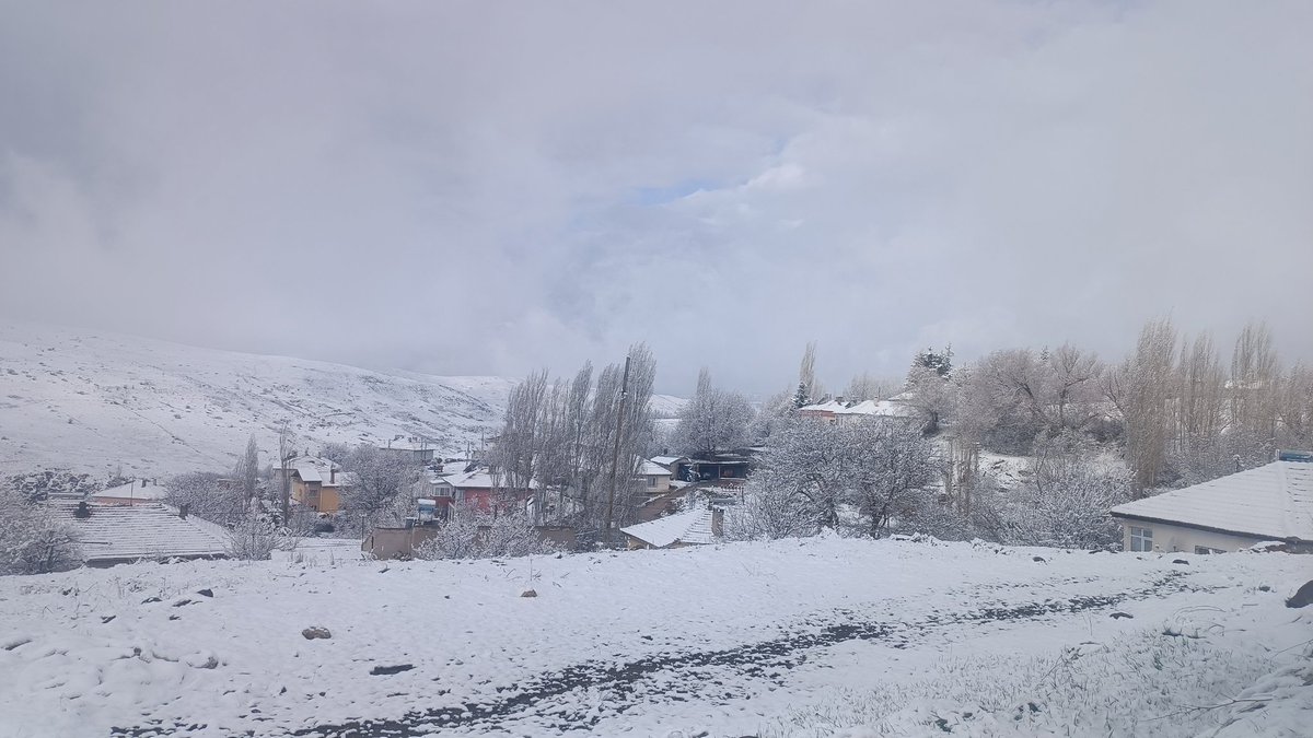 ⭐⭐⭐⭐⭐ tweet media