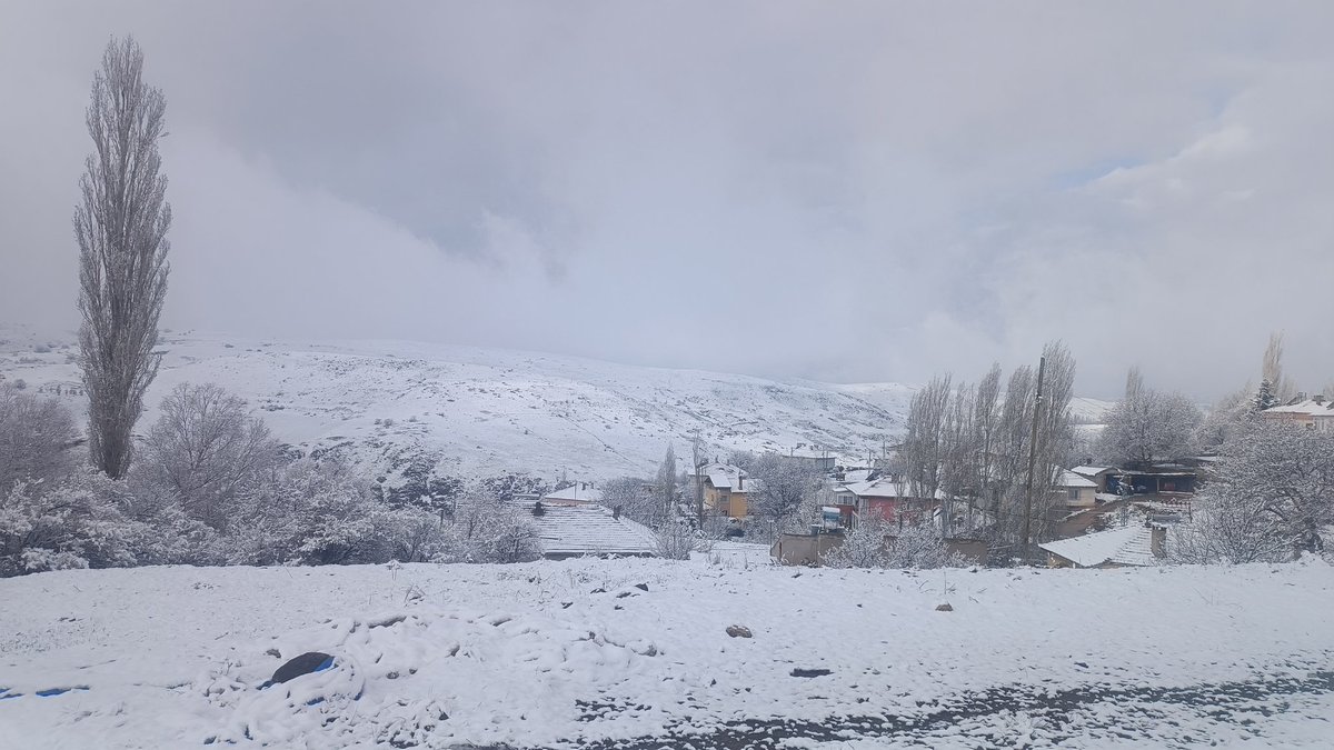 ⭐⭐⭐⭐⭐ tweet media