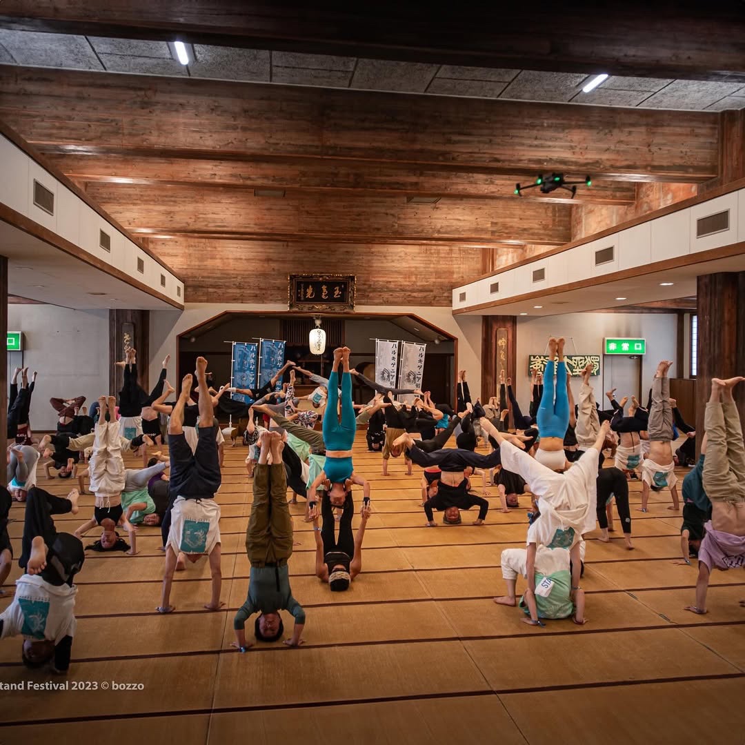 ハルキゲニア倒立フェス【公式】 tweet media